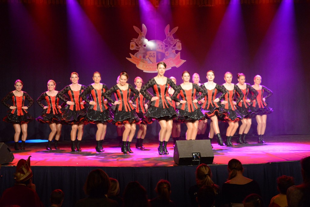 ../Images/Dansmarieke festival 2015 247.jpg